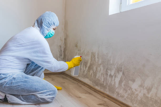 Licensed Mold Testing service in Ashville, PA - WQB Mold Removal