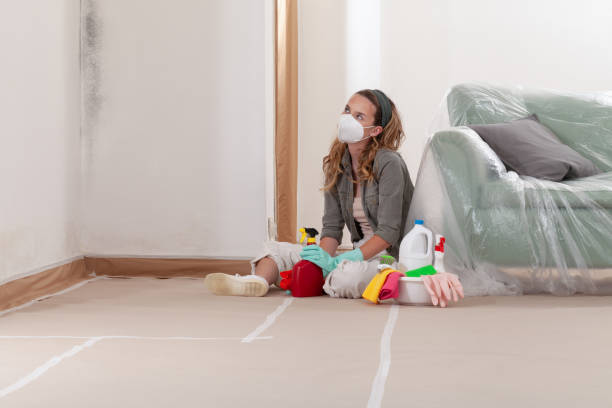 Reliable Mold Testing contractor in Ashville, PA by WQB Mold Removal