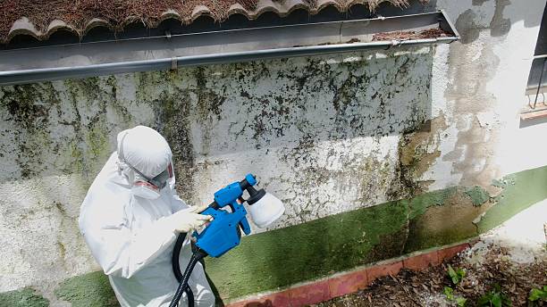 Top rated local Mold Testing specialists in Ashville, PA